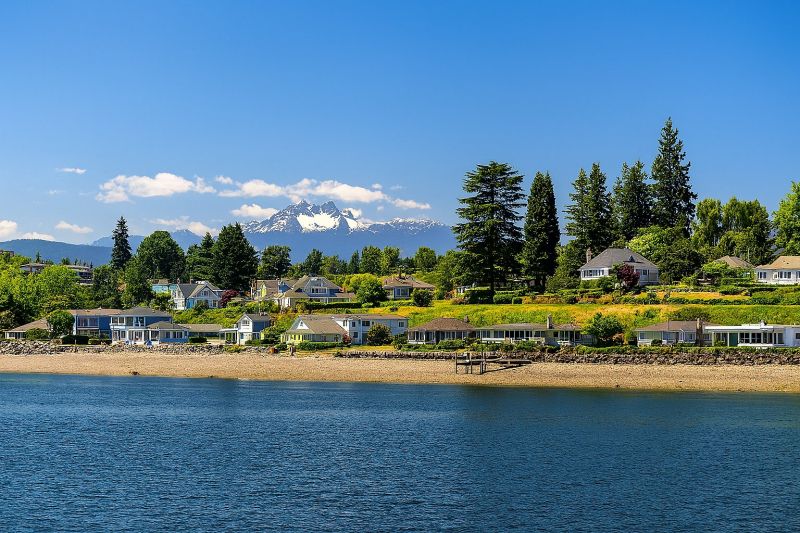 Best Tub To Shower Conversion pros in Kent, WA