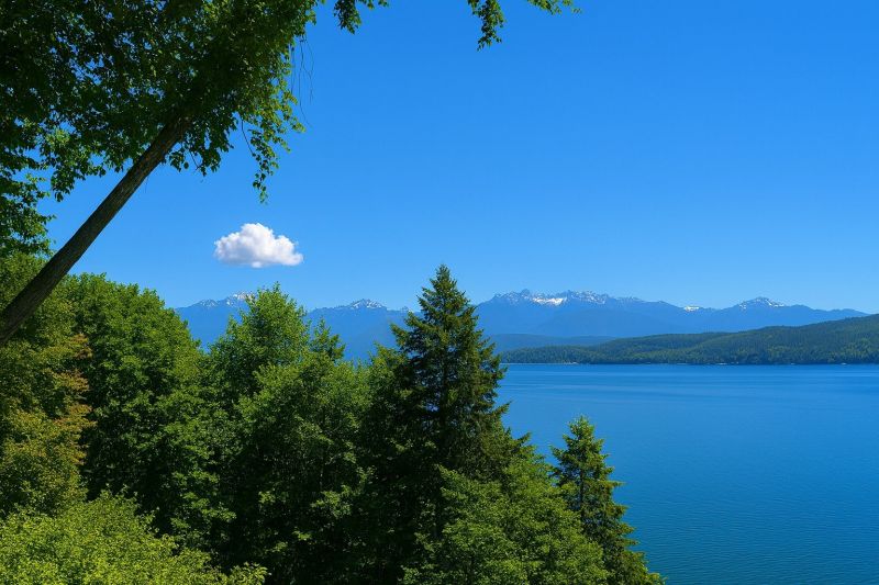 Best Tub To Shower Conversion pros in Vashon, WA