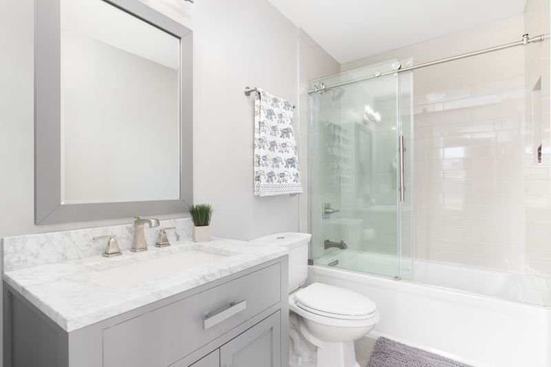 Top Tub To Shower Conversion Companies in Bainbridge Island, WA